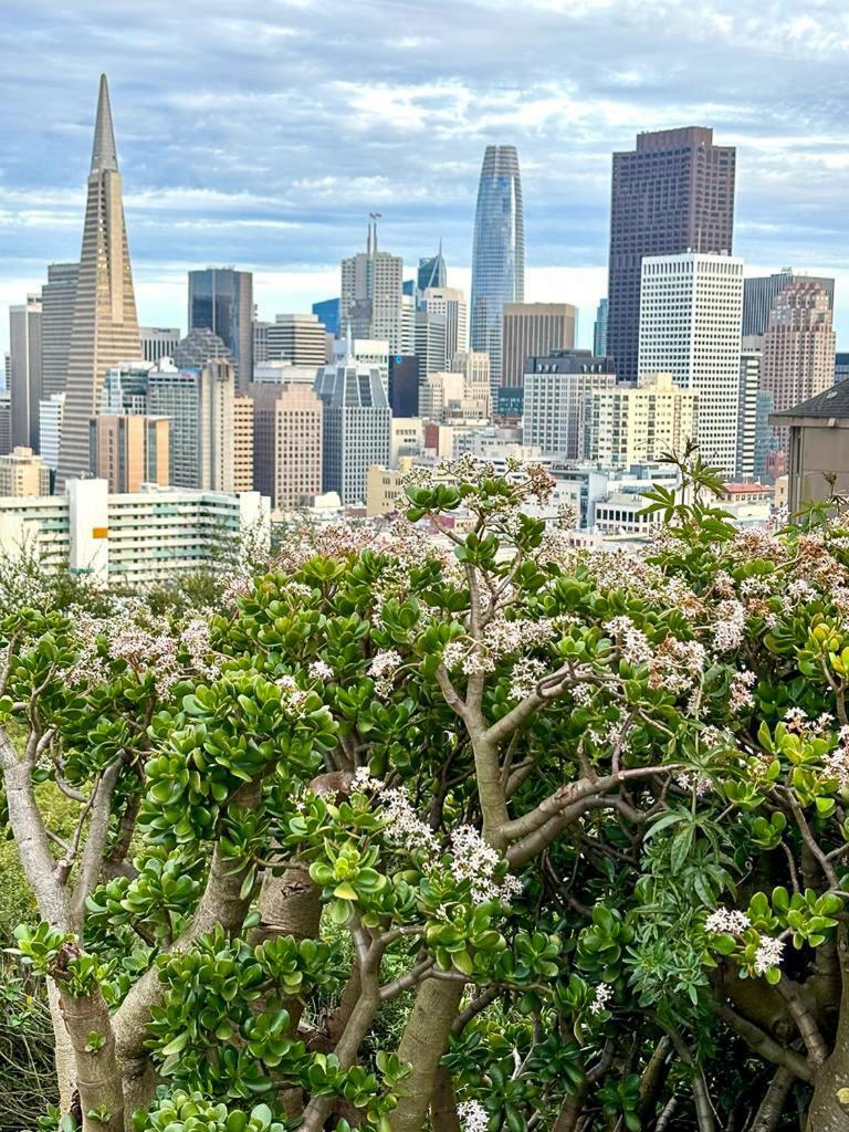 Ith San Francisco Pacific Tradewinds Backpacker Hostel Exterior foto